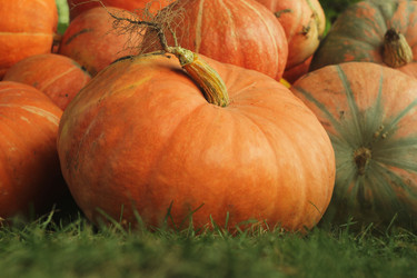 Similar image 10591389