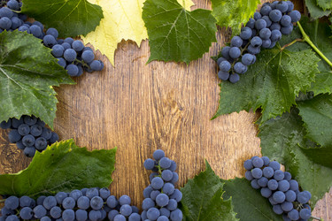 Similar image 10592311