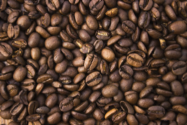 Similar image 10592317