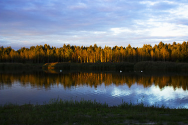 Similar image 10592383