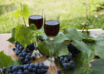 Similar image 10592416