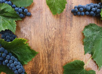 Similar image 10592419