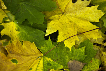 Similar image 10592480