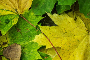 Similar image 10592482