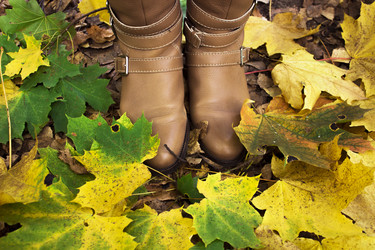 Similar image 10592487