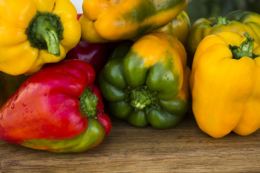 Similar image 10592493