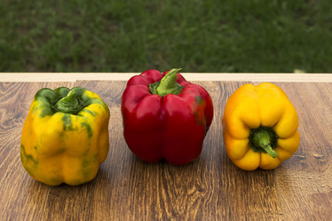 Similar image 10592497