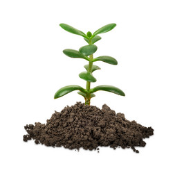 Similar image 10592545