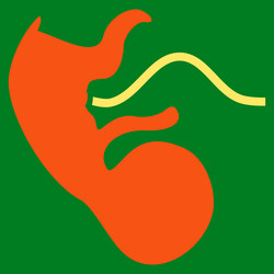 Similar image 10592801