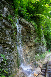 Similar image 10592831