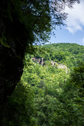 Similar image 10592837