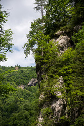 Similar image 10592840