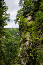 Similar image 10592845