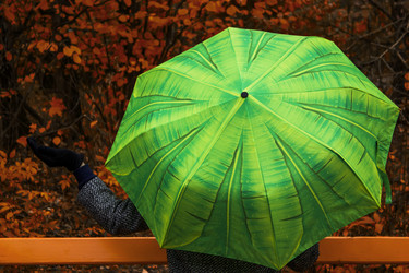 Similar image 10592848