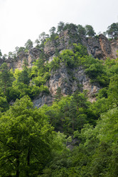 Similar image 10592866