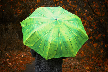 Similar image 10592882