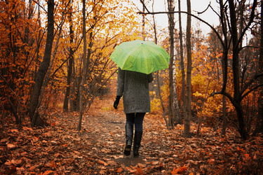 Similar image 10592884