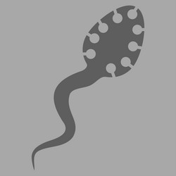 Similar image 10592985