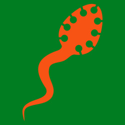 Similar image 10593449