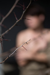 Similar image 10593502