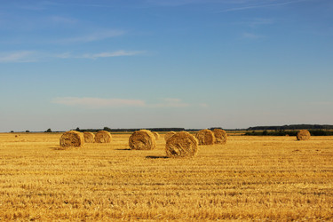 Similar image 10594020