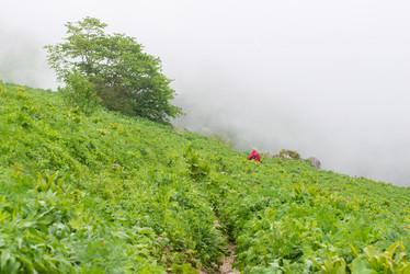 Similar image 10601232