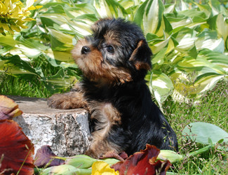 Similar image 10601380