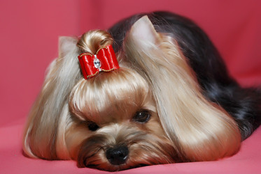 Similar image 10601382