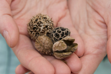 Similar image 10601775