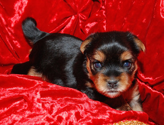 Similar image 10601837