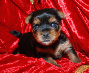 Similar image 10601839