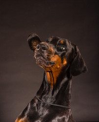 Similar image 10602836