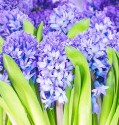 Similar image 10602921