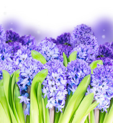 Similar image 10602922