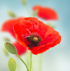 Similar image 10602923