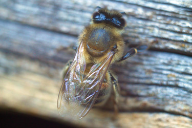 Similar image 10602925