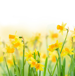 Similar image 10602975