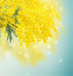 Similar image 10602977