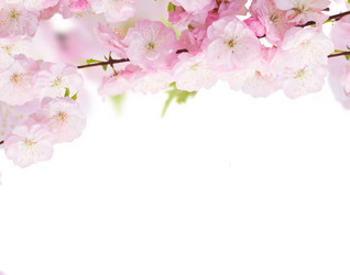 Similar image 10602980