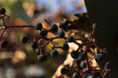 Similar image 10603157