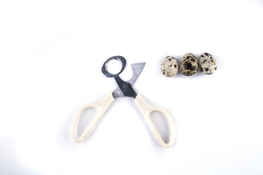 Similar image 10603185