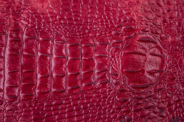 Similar image 10603211