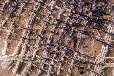 Similar image 10603284