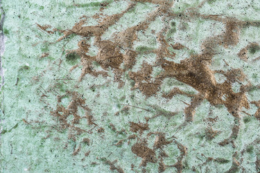 Similar image 10603291