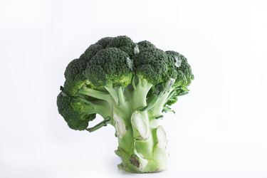 Similar image 10603326