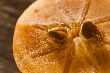 Similar image 10603369