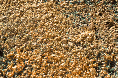 Similar image 10603370