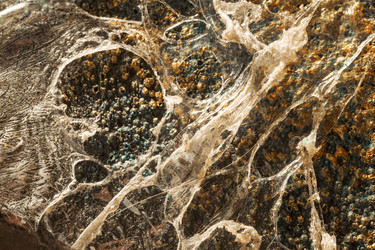 Similar image 10603374