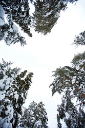 Similar image 10603392