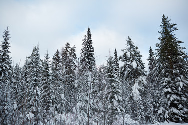 Similar image 10603393